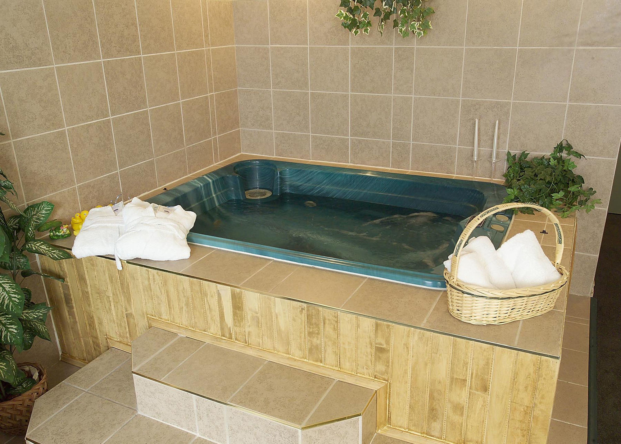 Quality Inn & Suites Bathurst Extérieur photo