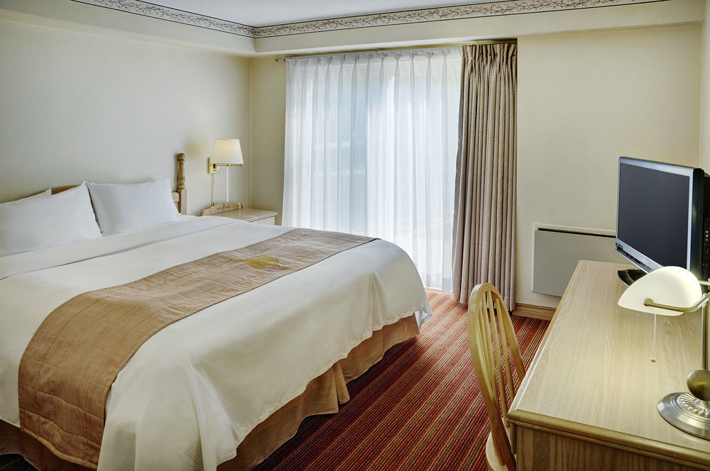 Quality Inn & Suites Bathurst Extérieur photo