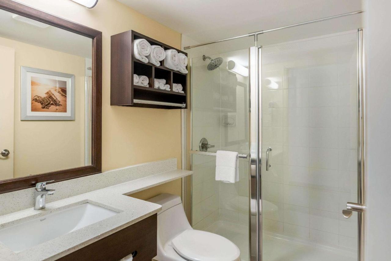Quality Inn & Suites Bathurst Extérieur photo