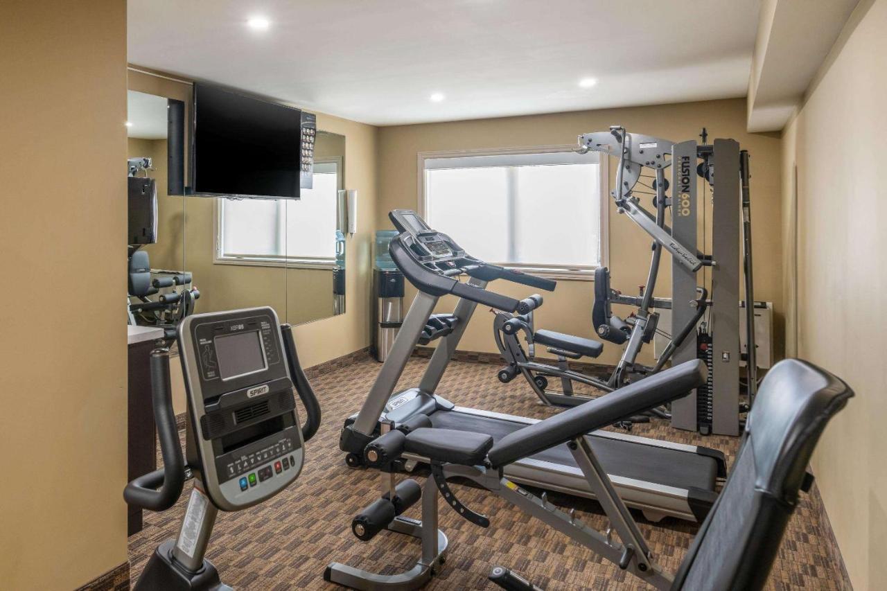Quality Inn & Suites Bathurst Extérieur photo