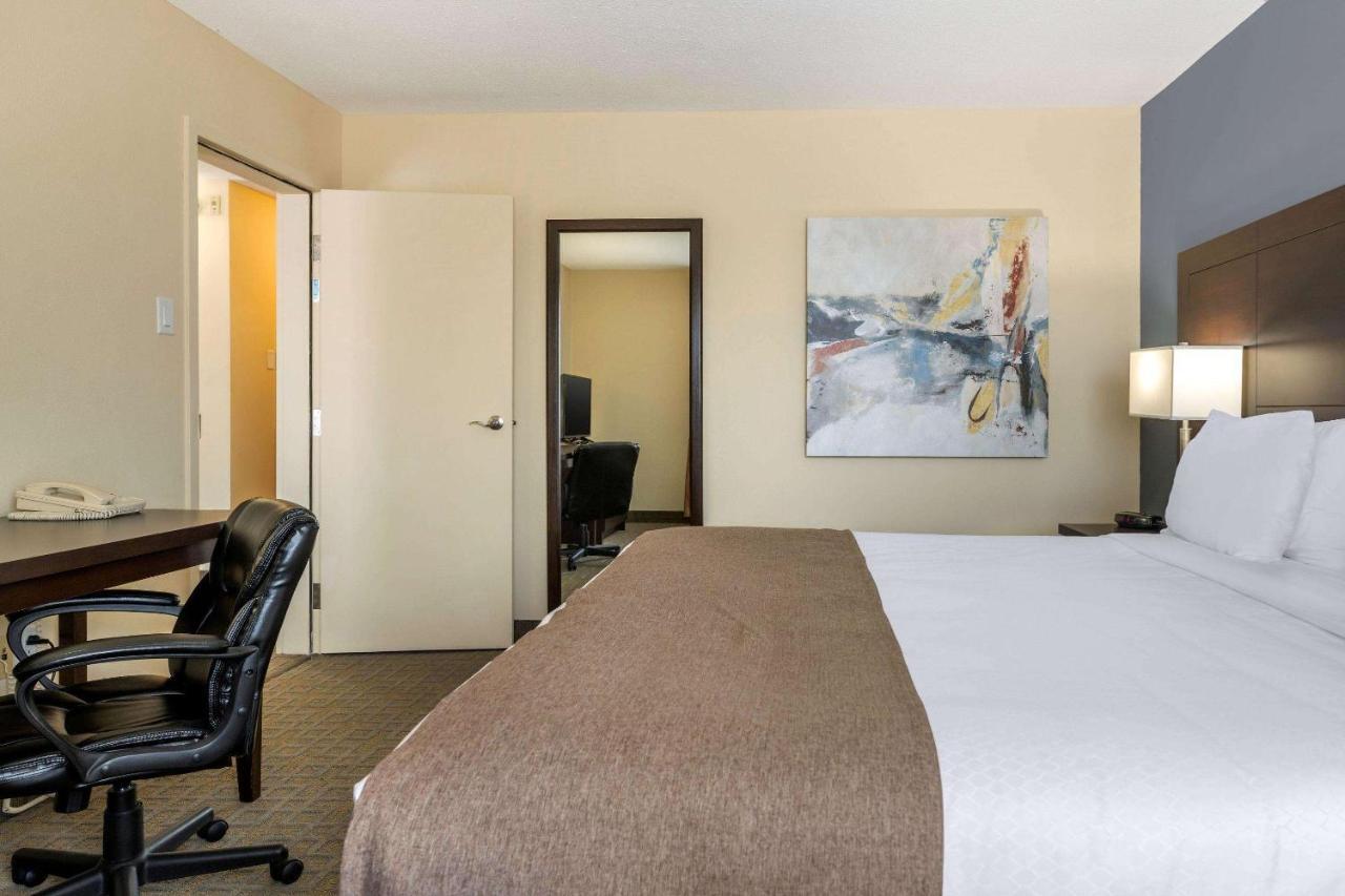 Quality Inn & Suites Bathurst Extérieur photo