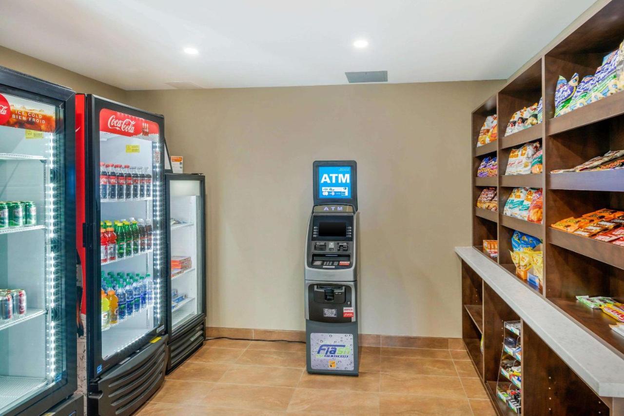 Quality Inn & Suites Bathurst Extérieur photo